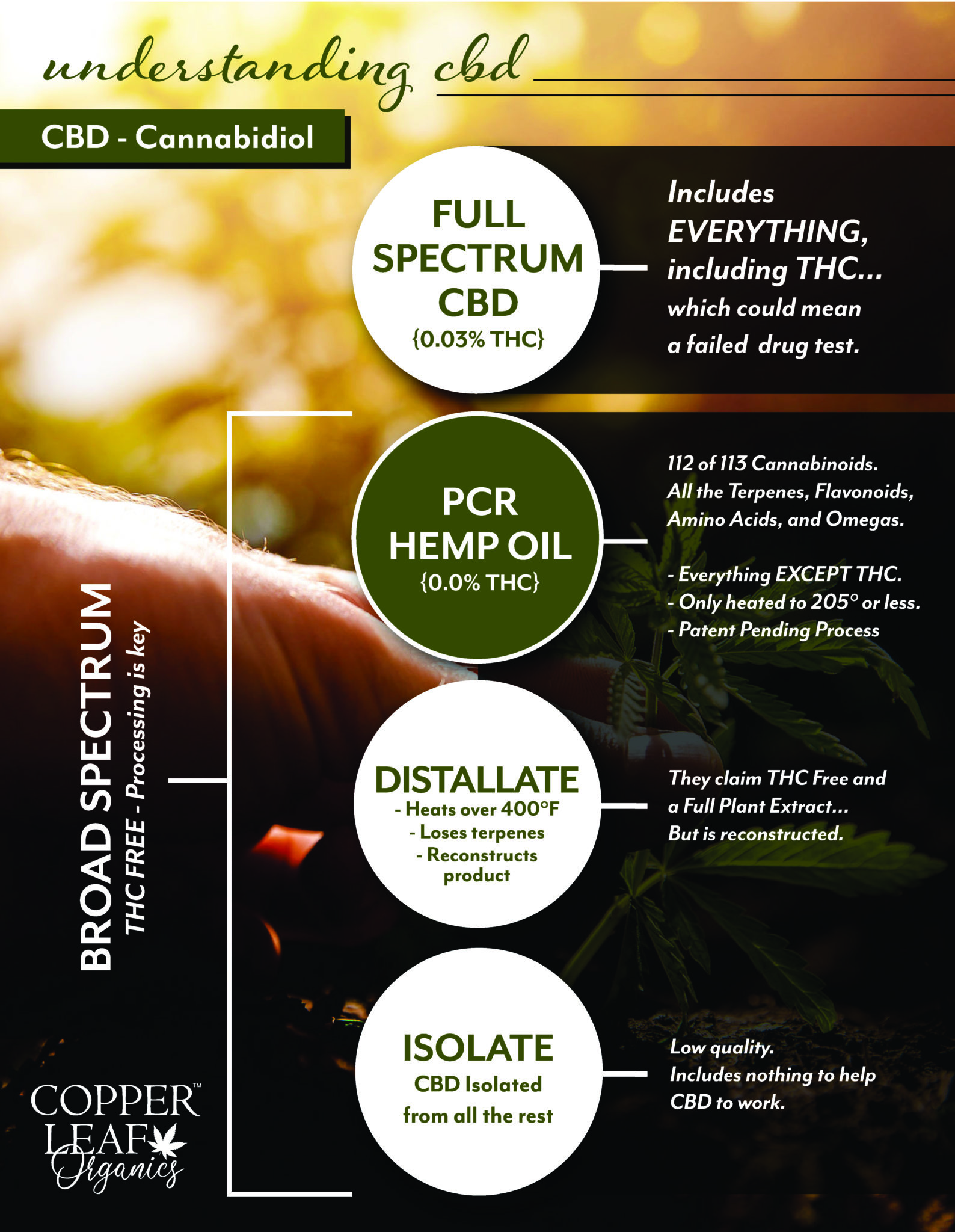 CLO Understanding CBD CLO Understanding CBD